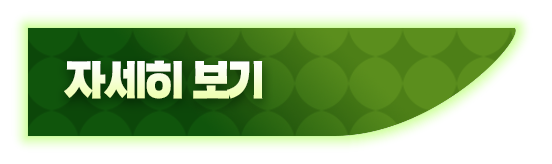 자세히 보기